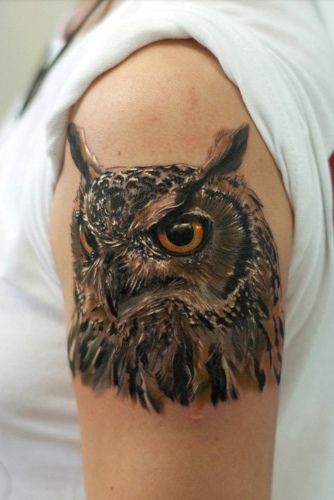 Realistic Owl Ink Tattoo For Arm